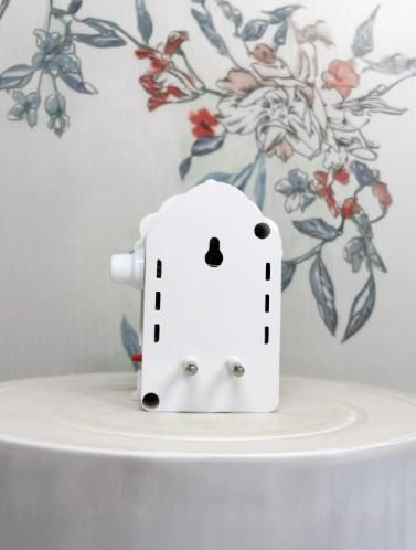 5 in 1 Mantra Device with Lamp Shri Premanand Ji Voice